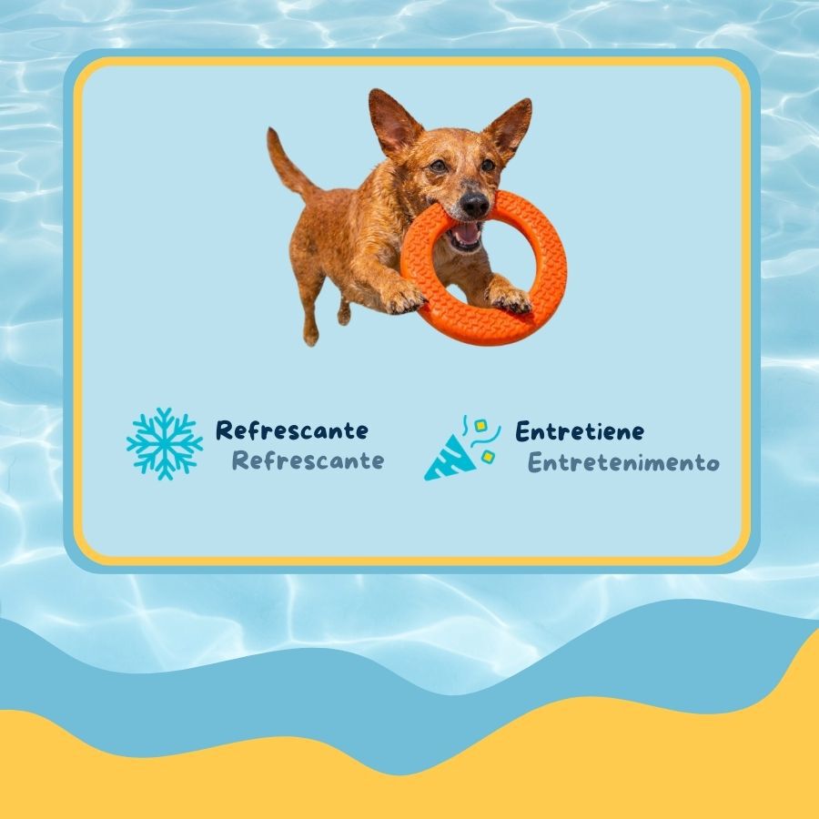 Summer Vibes Cooling Circle Orange Mordedor para c&atilde;es, , large Imagem n&uacute;mero 3